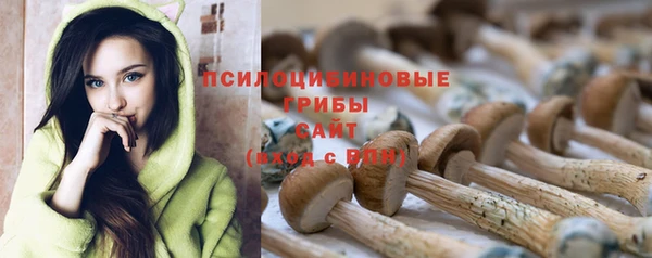 мяу мяу кристалл Нягань
