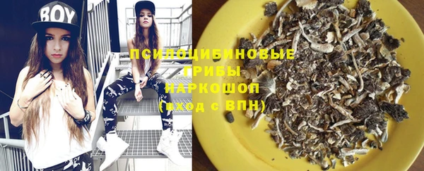 спиды Няндома
