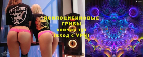 спиды Няндома