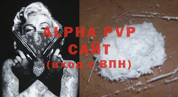 индика Осинники