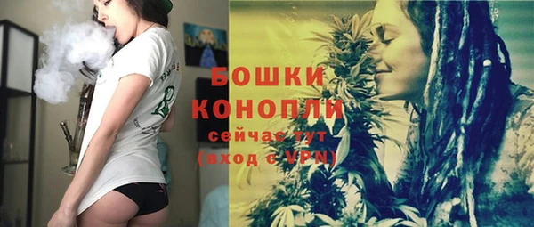 спиды Няндома