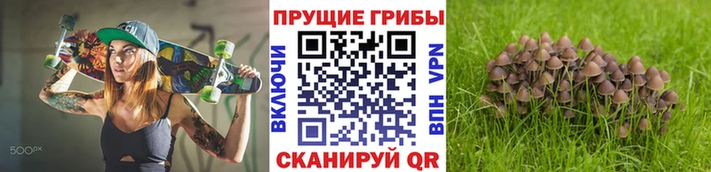 цена наркотик  Тюмень  Галлюциногенные грибы Cubensis 