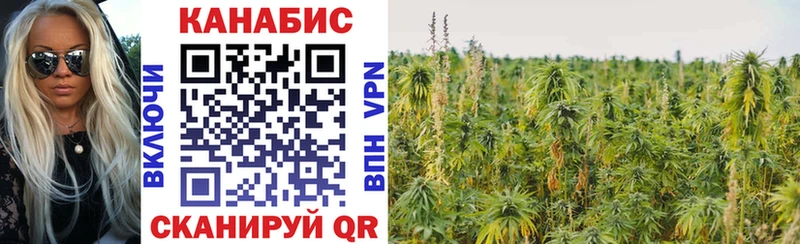 Бошки марихуана OG Kush  где купить наркоту  Тюмень 